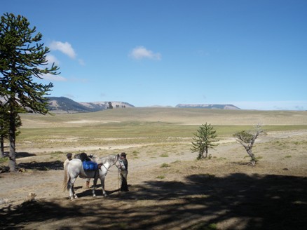 crossing the andes, chile into Argentinacampfire